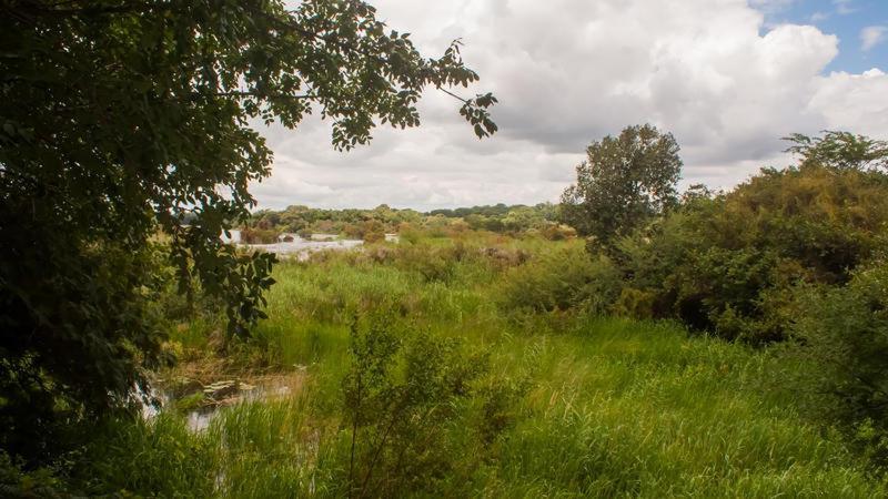 White Sands Lodge Divundu Rom bilde